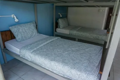 Bed in 4-Bed Mixed Dormitory Room — Isla Tortuga Diving & Hostel